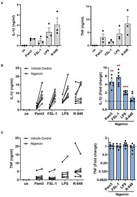 Multiple TLRs elicit alternative NLRP3 inflammasome activation in primary human monocytes independent of RIPK1 kinase activity